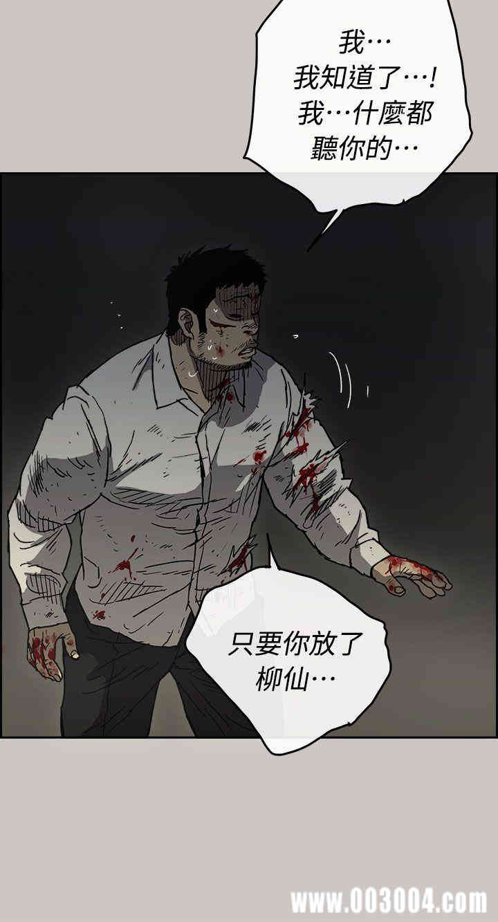 第11张