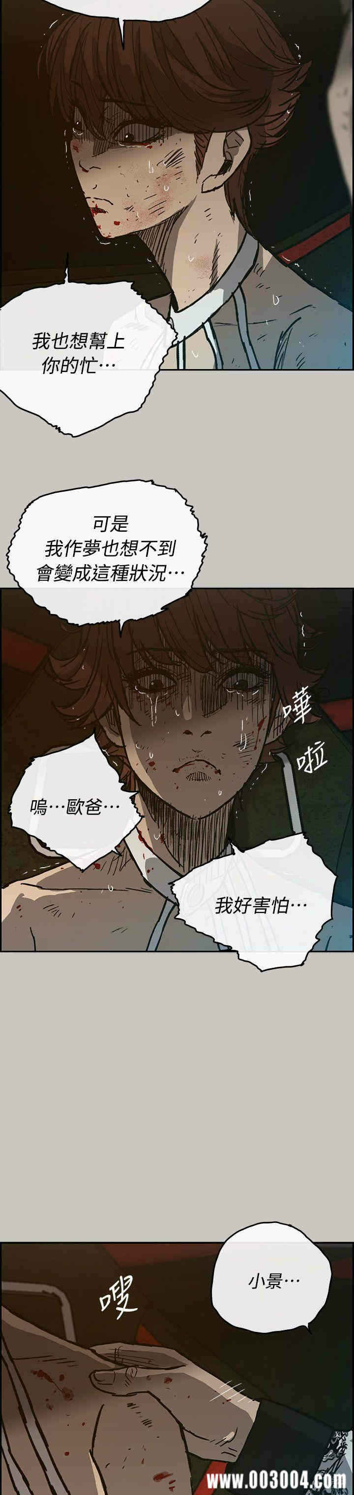 第29张
