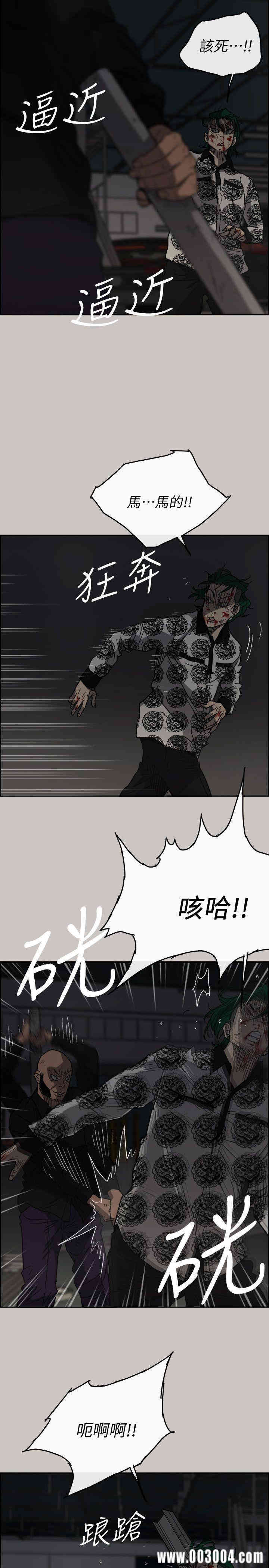 第3张