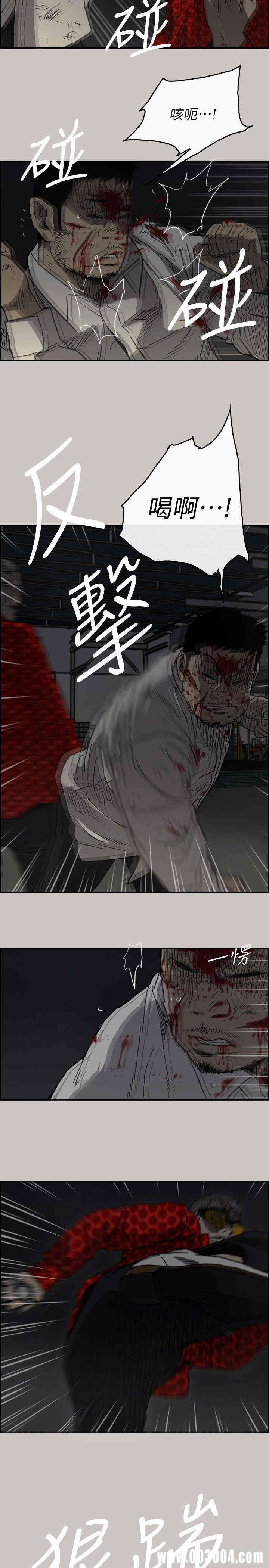 第14张