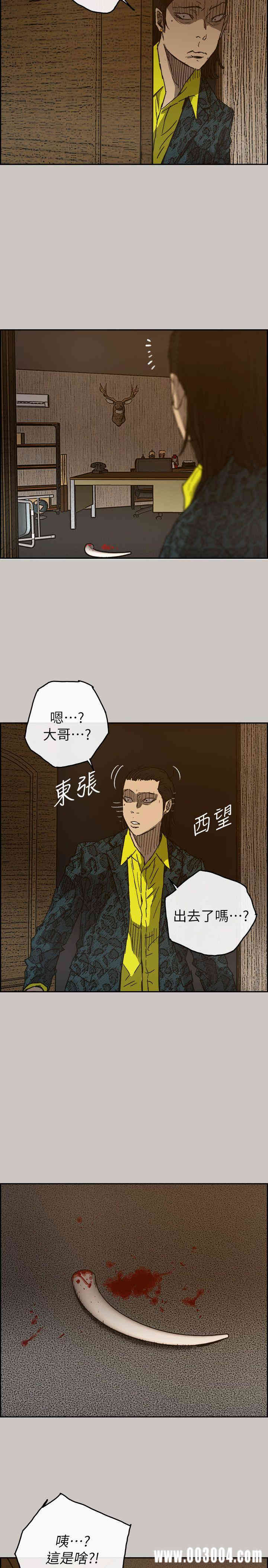 第8张