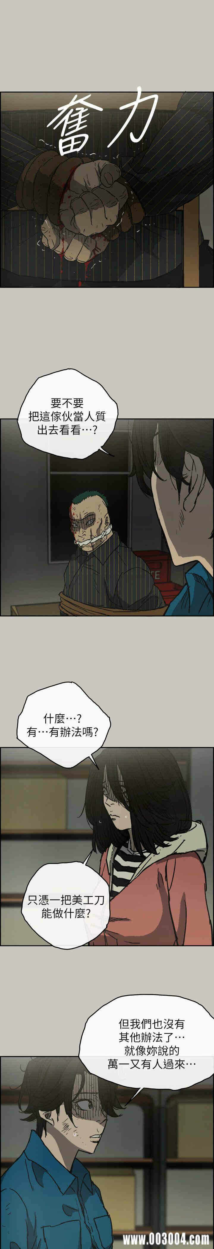 第13张
