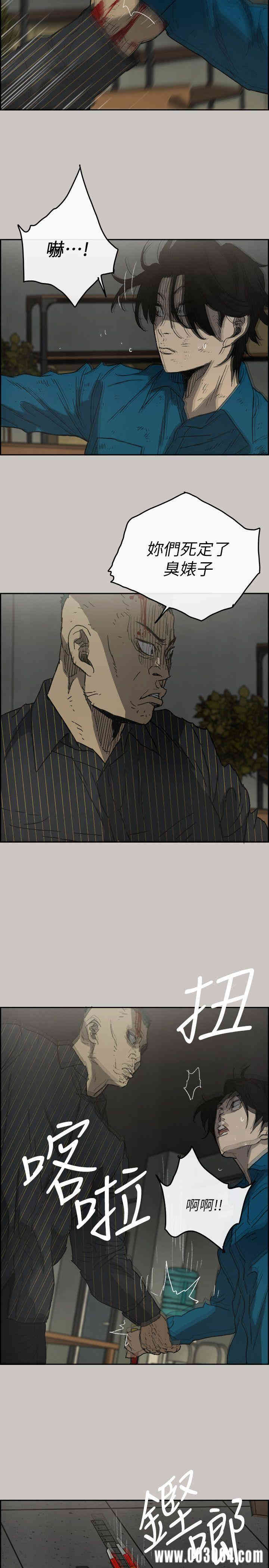 第6张
