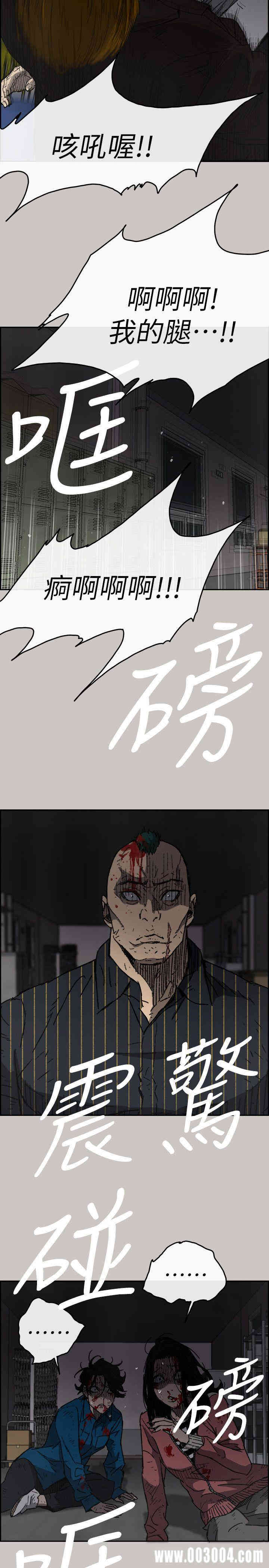 第5张
