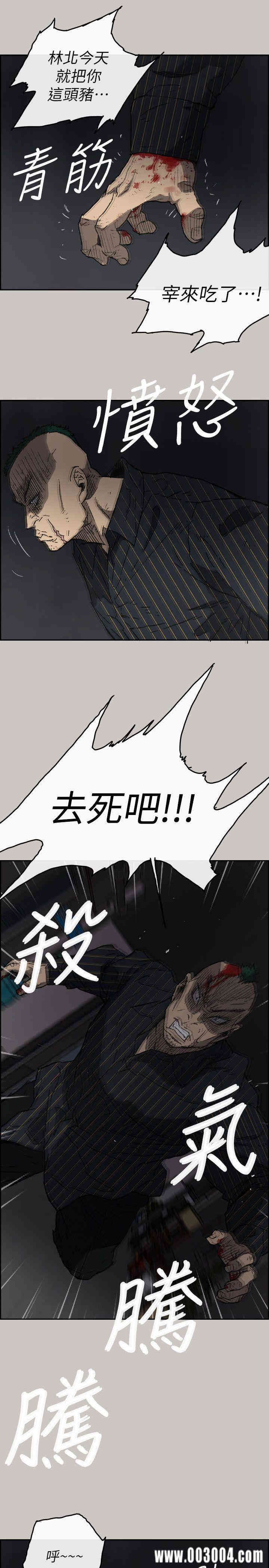 第11张