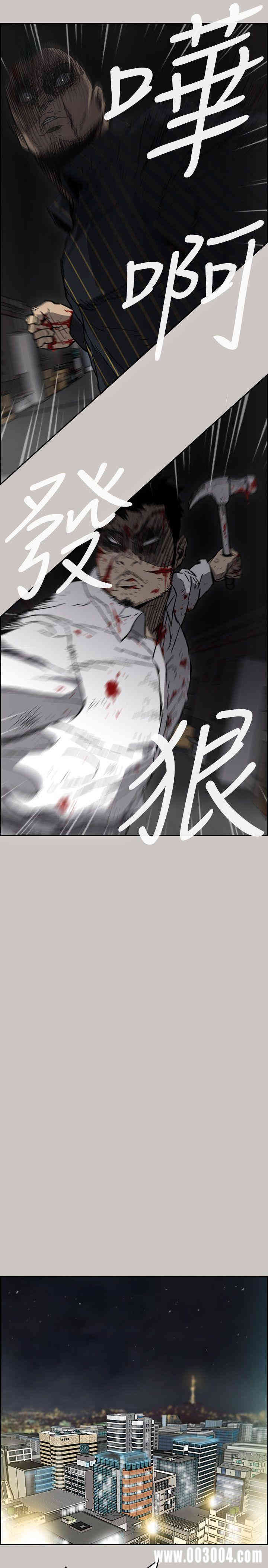 第13张