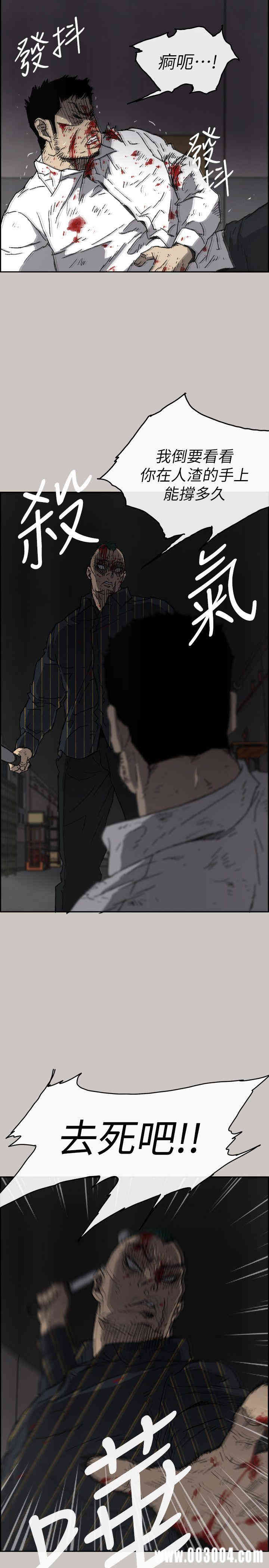 第3张