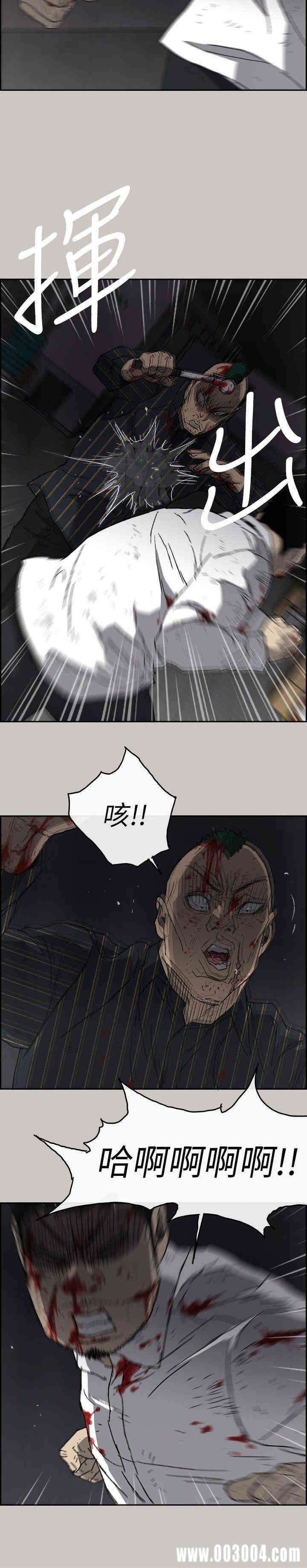 第12张