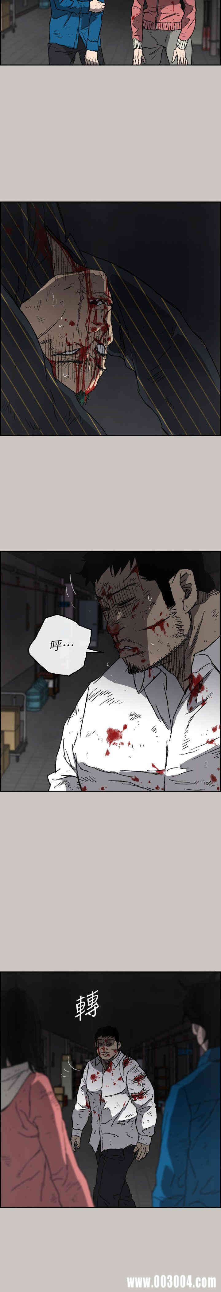 第11张