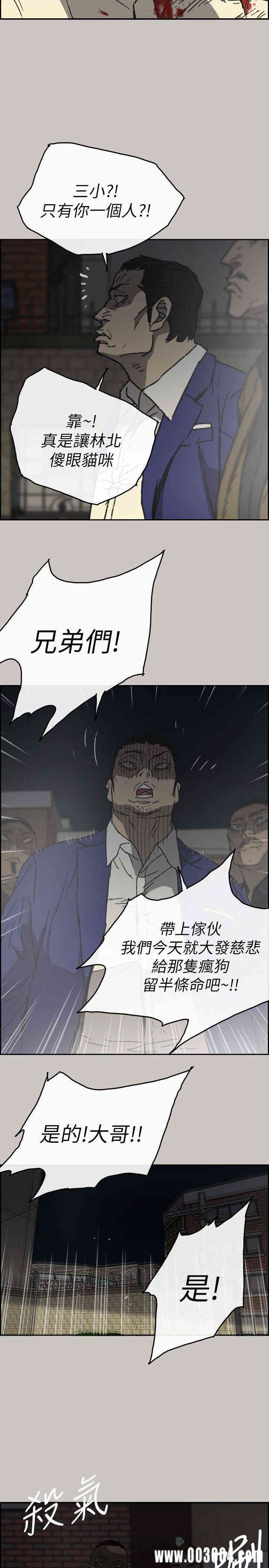 第3张