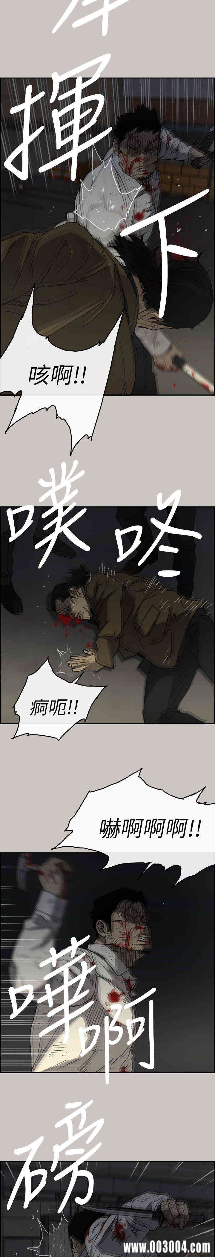 第11张