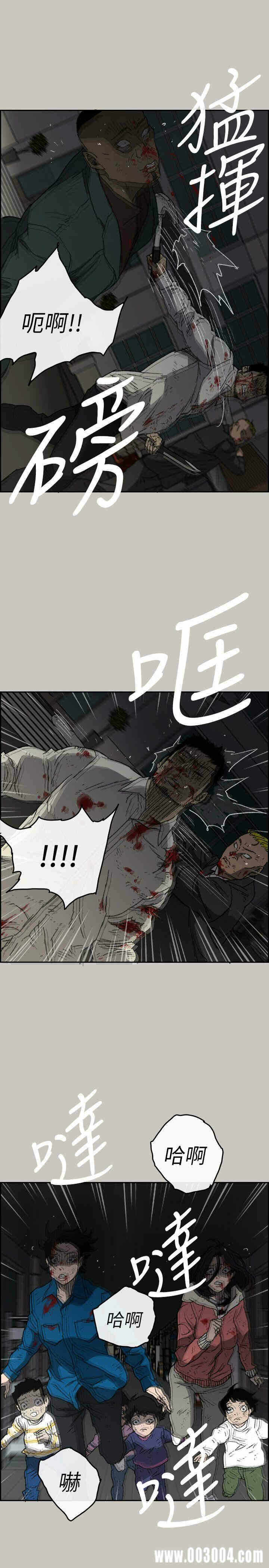 第17张