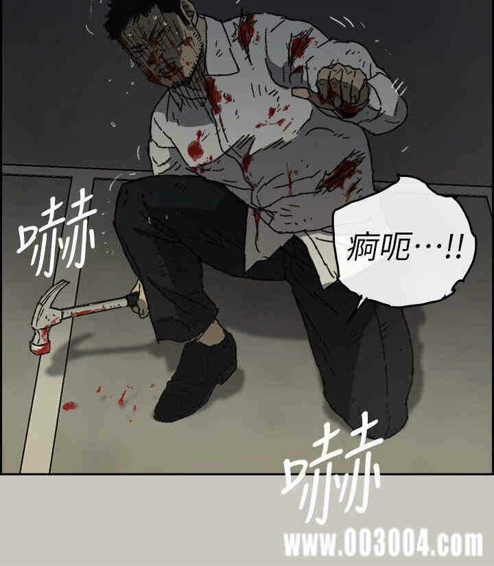 第20张