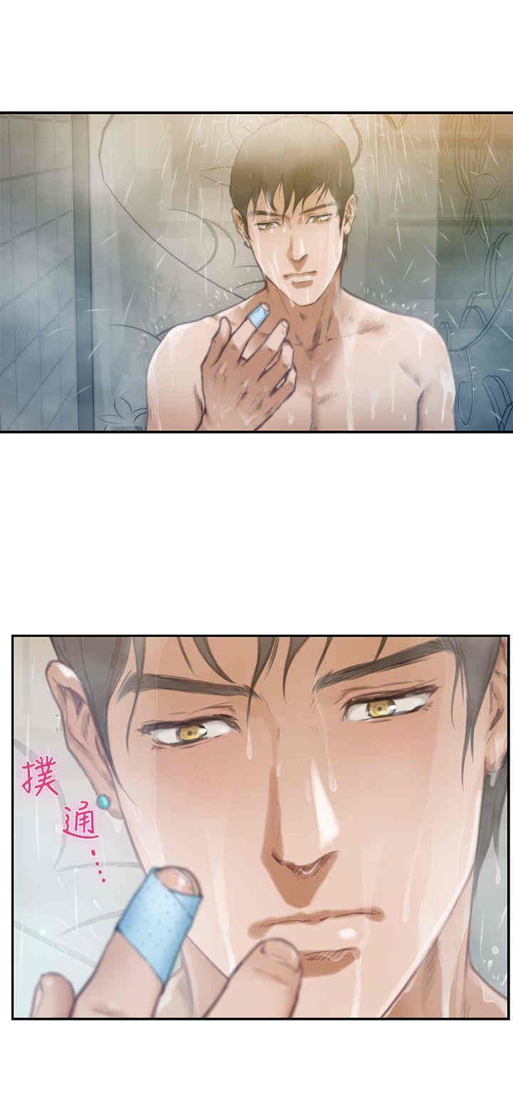 第29张