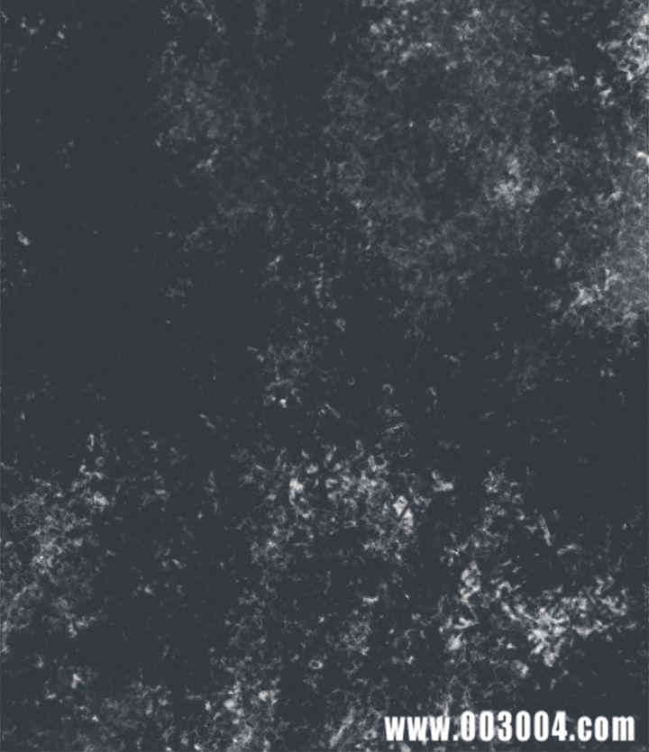 第8张