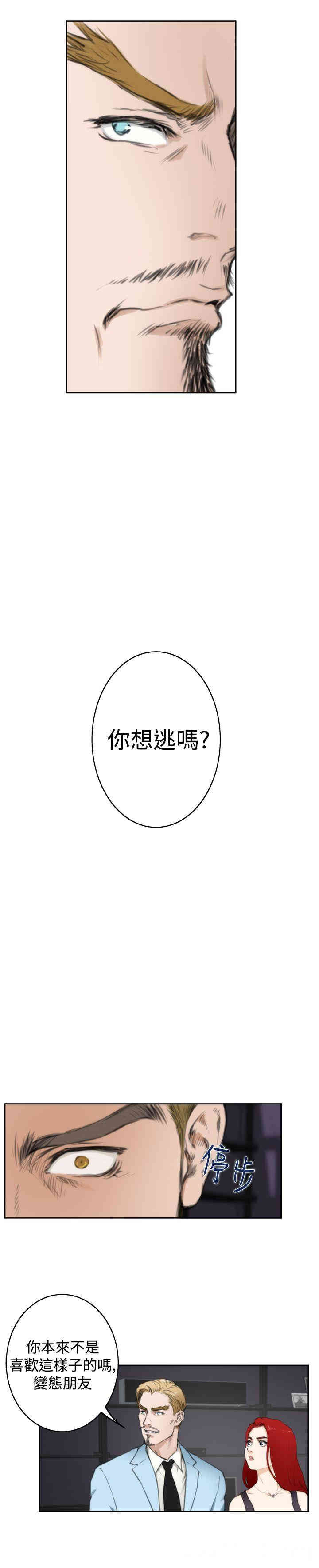 第9张