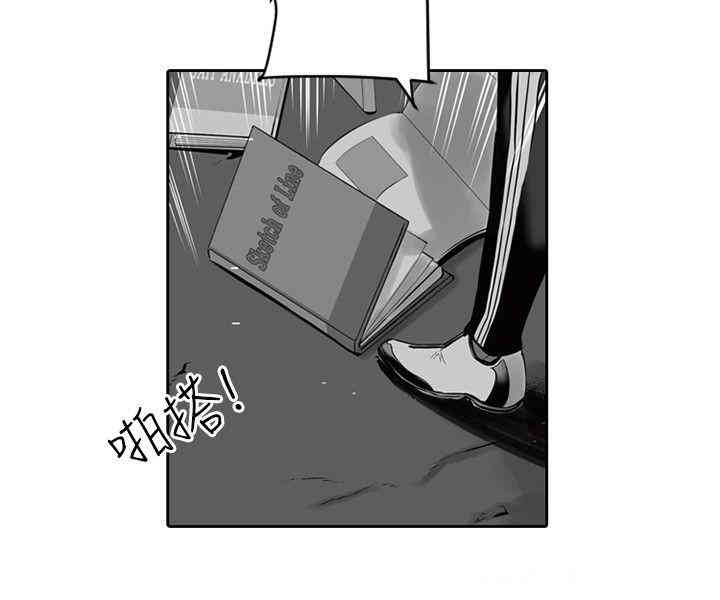 第14张