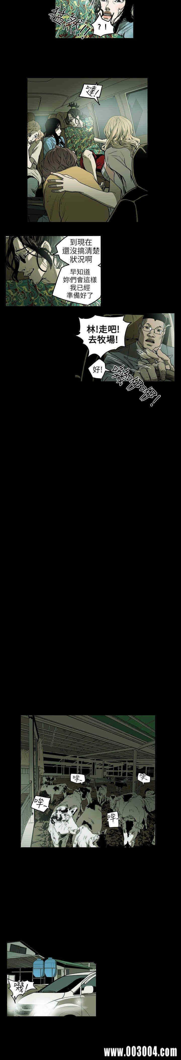 第13张