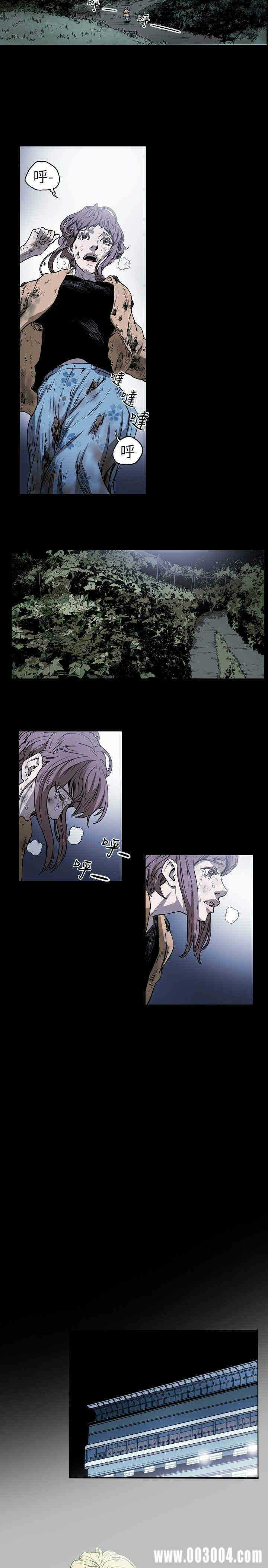 第3张