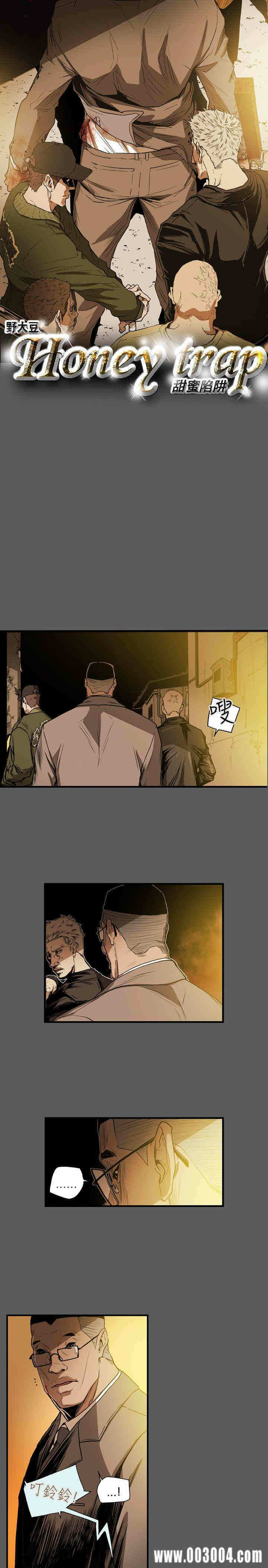 第5张