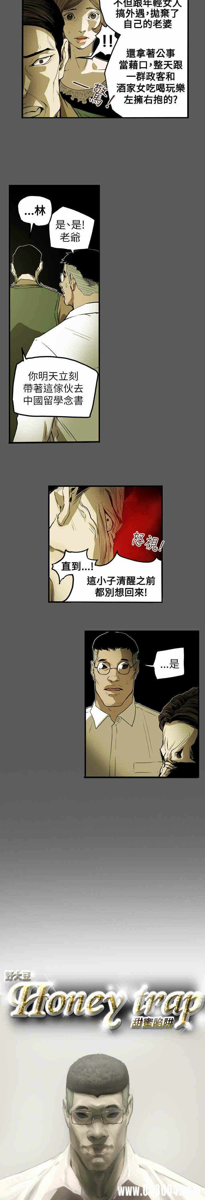 第5张