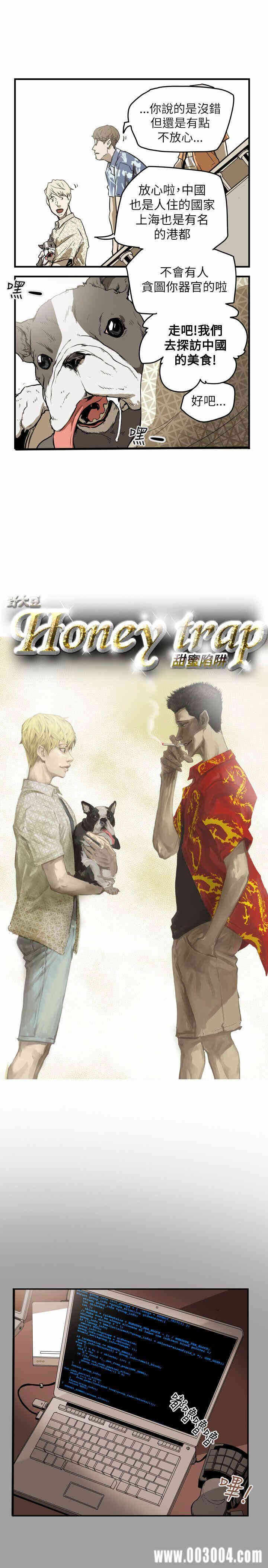 第5张