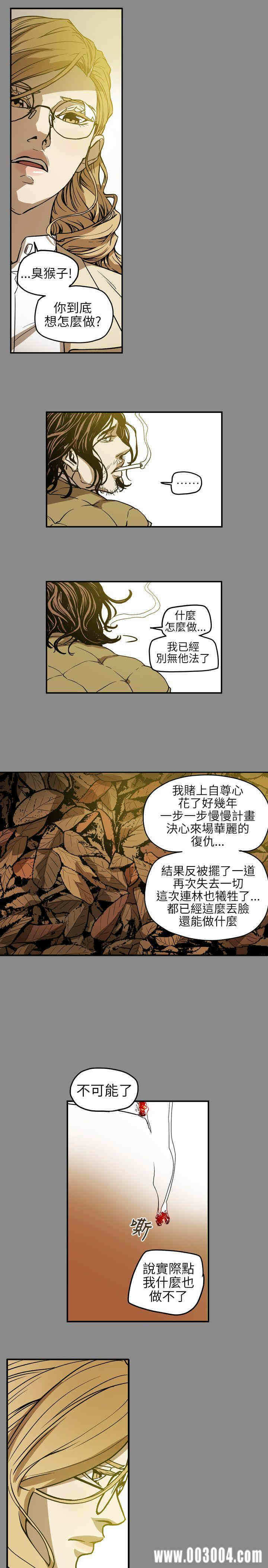 第11张