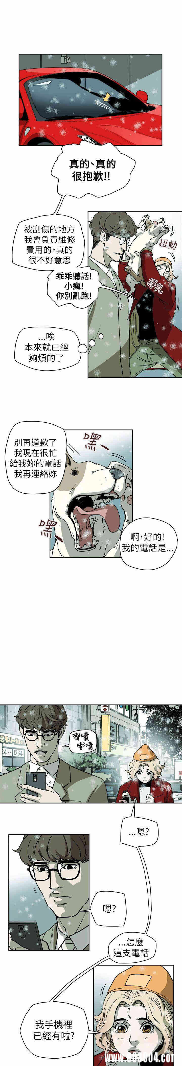第11张