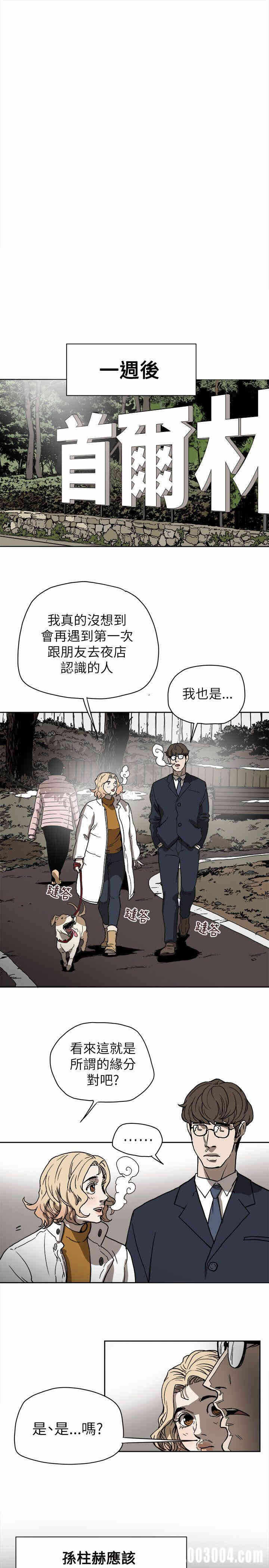 第13张