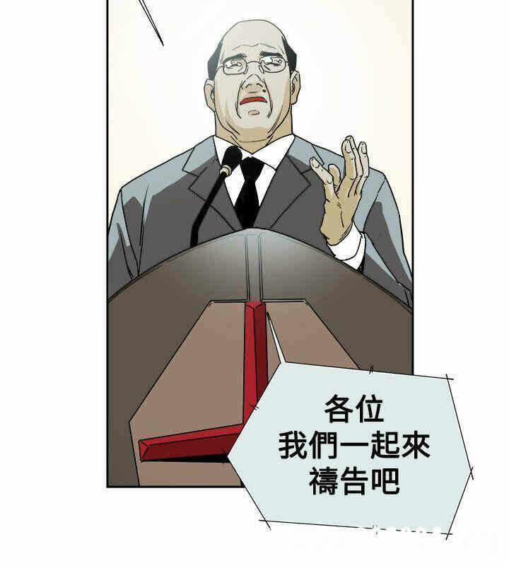 第8张