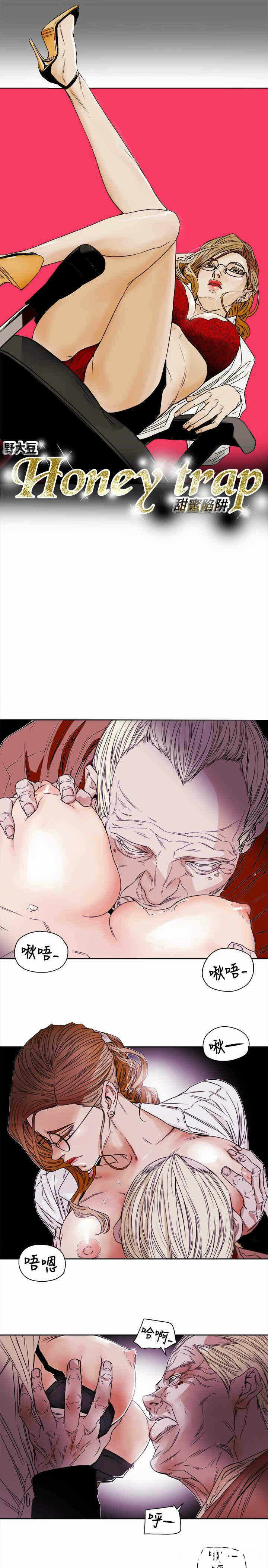 第3张