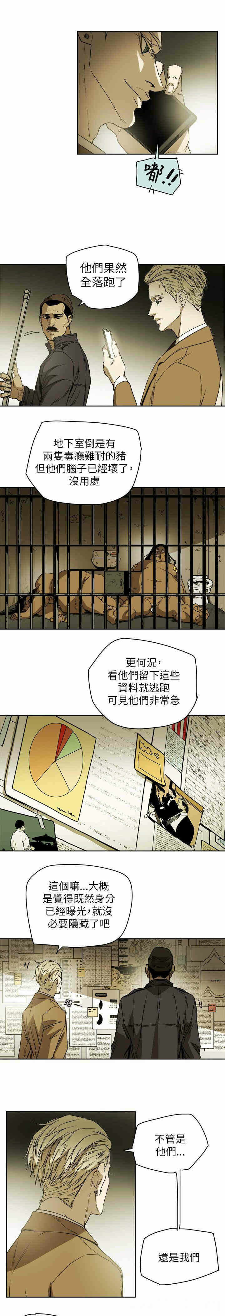 第5张