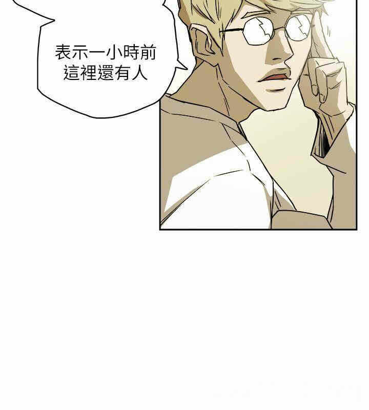 第8张