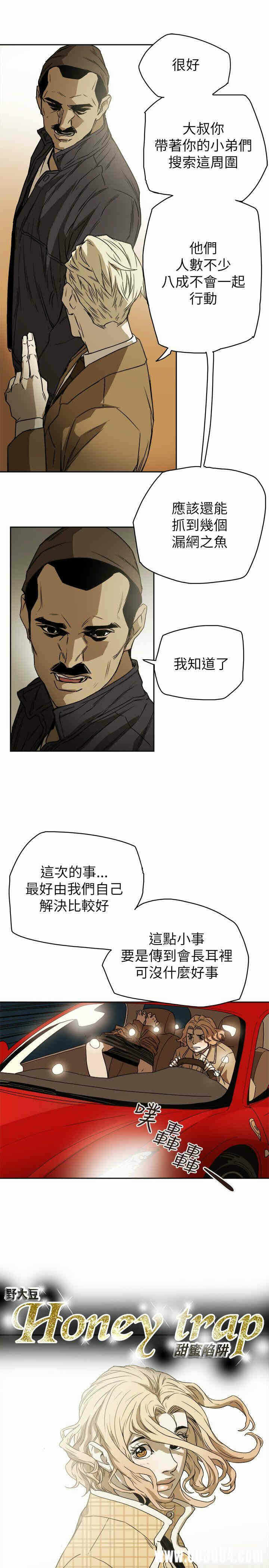 第9张