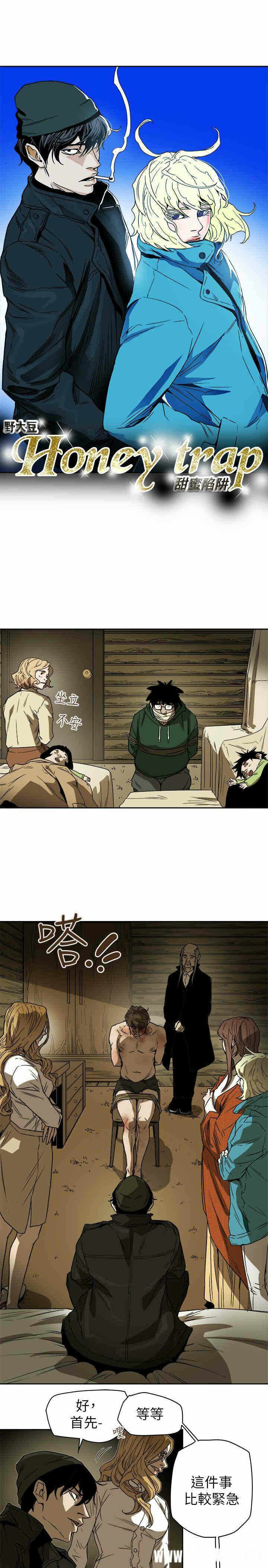 第9张
