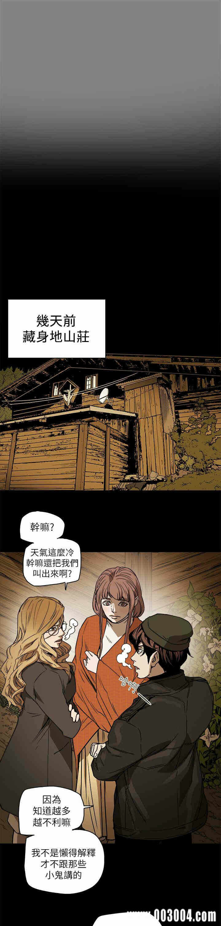 第3张