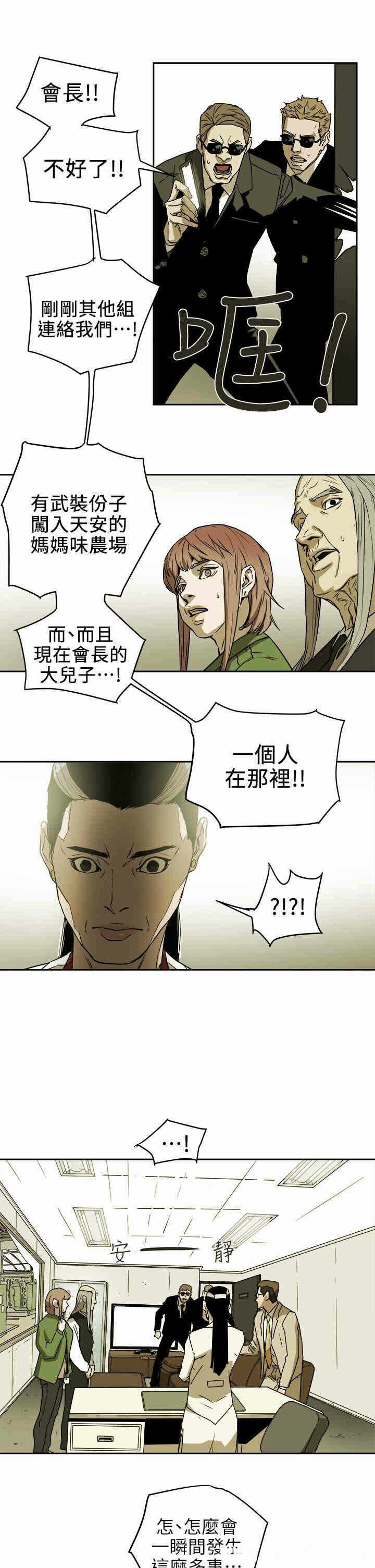 第17张