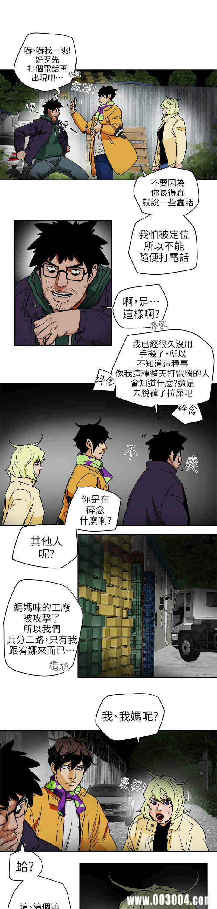 第19张