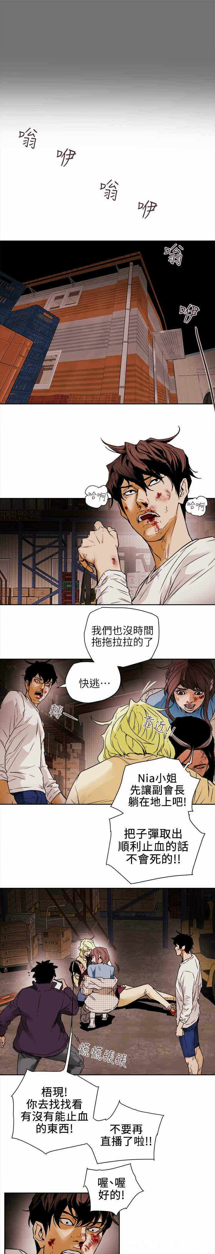 第3张