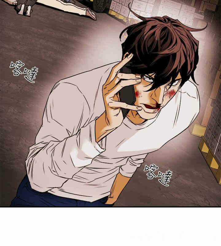 第6张