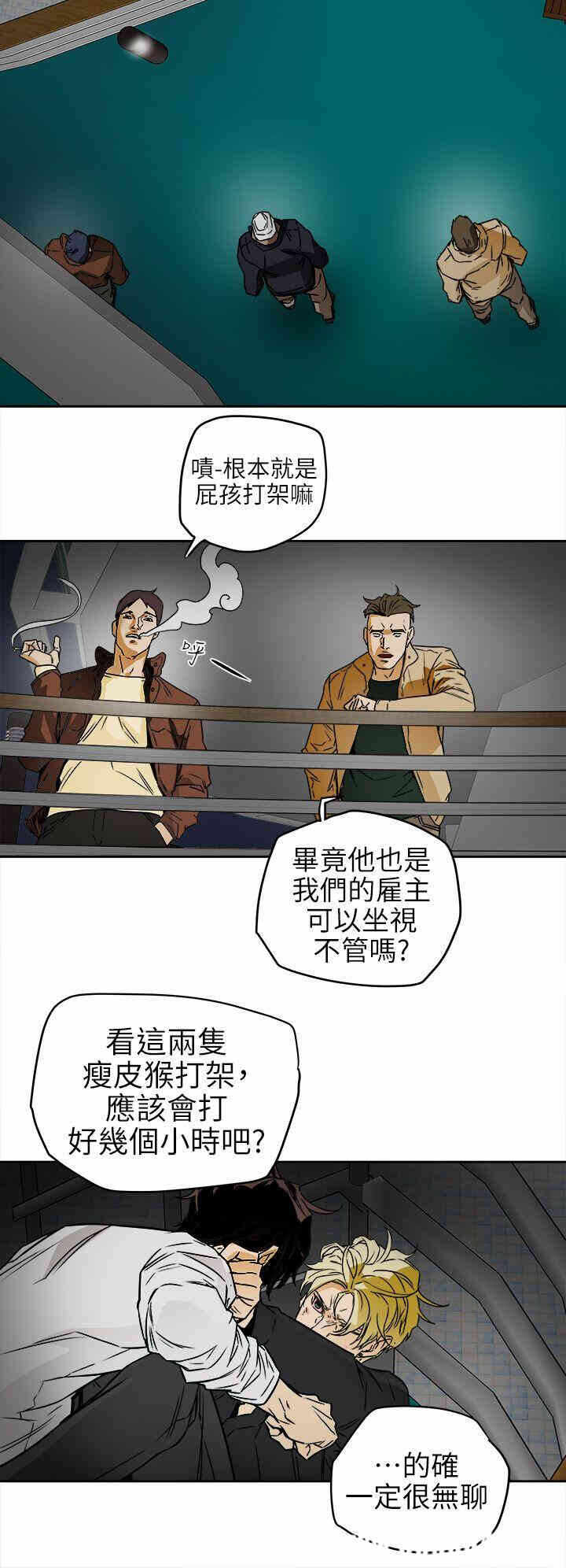 第12张