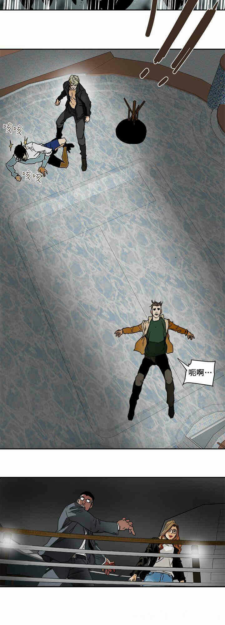 第6张