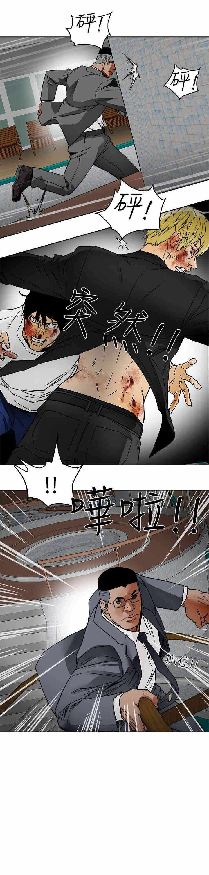 第17张