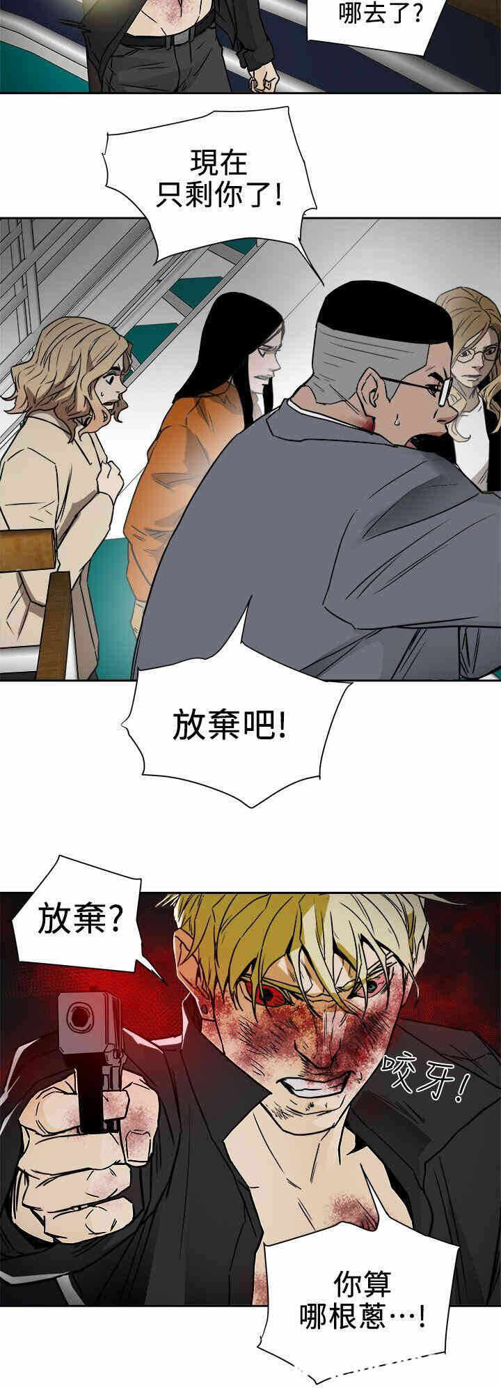 第26张