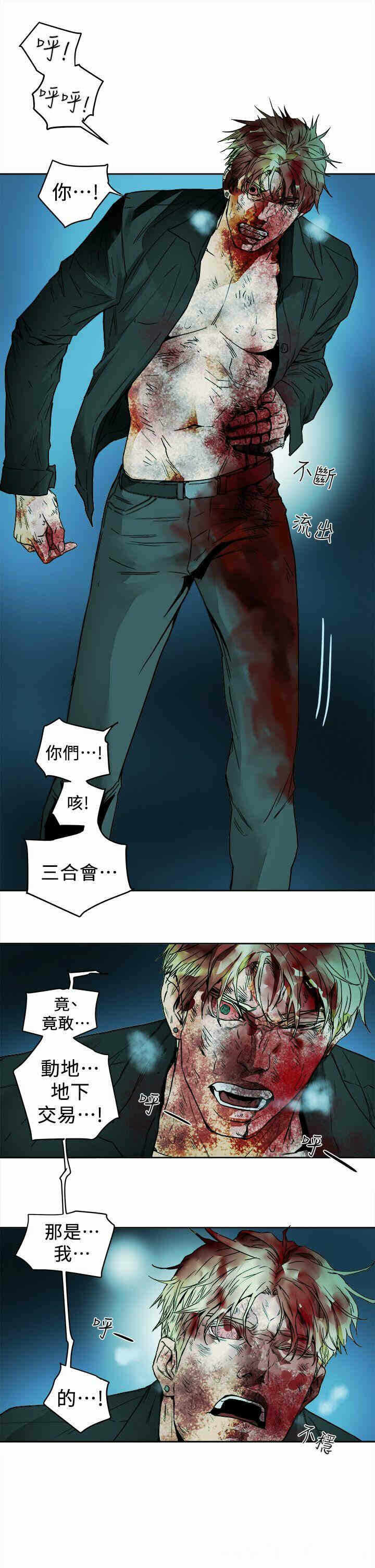 第5张