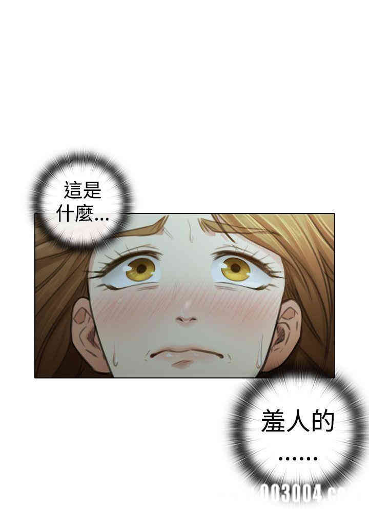 第20张