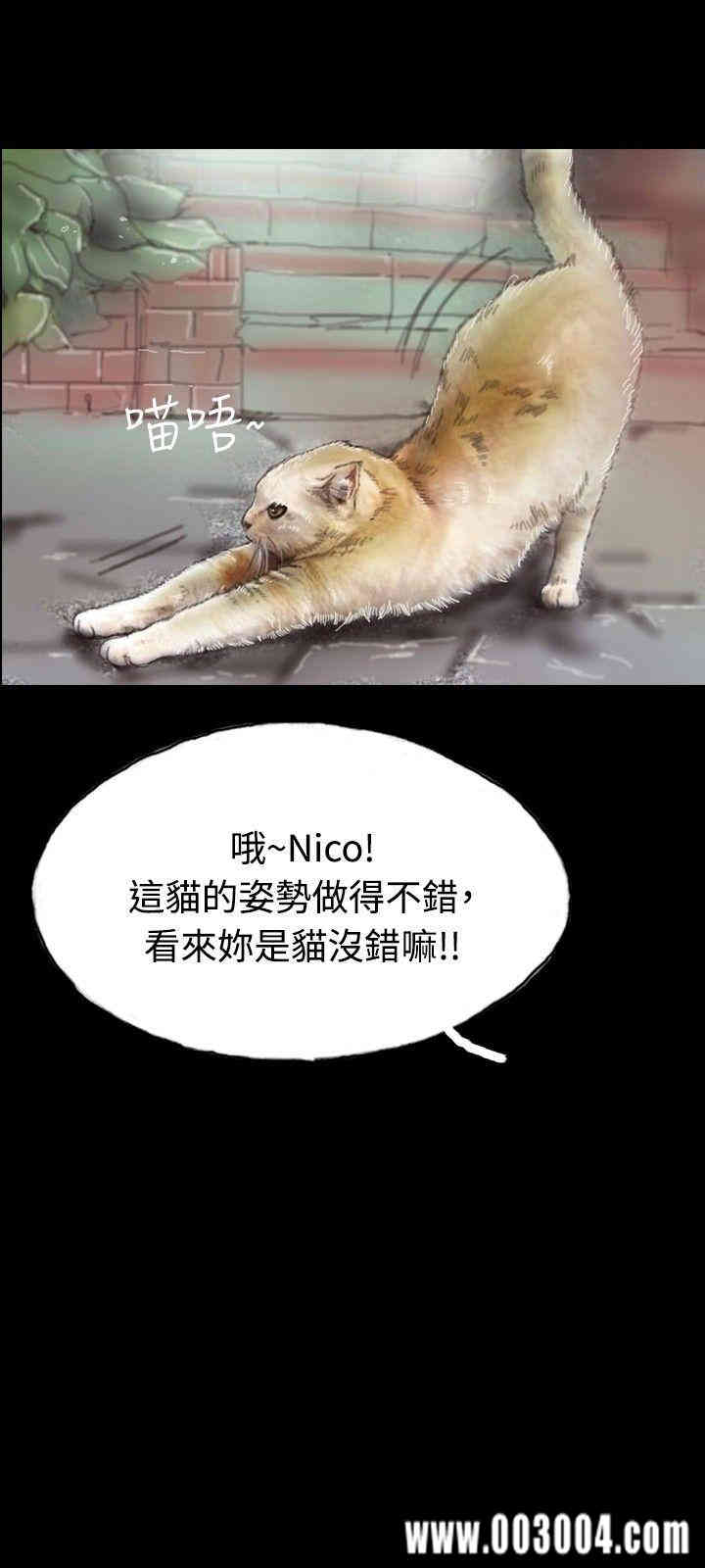 第21张