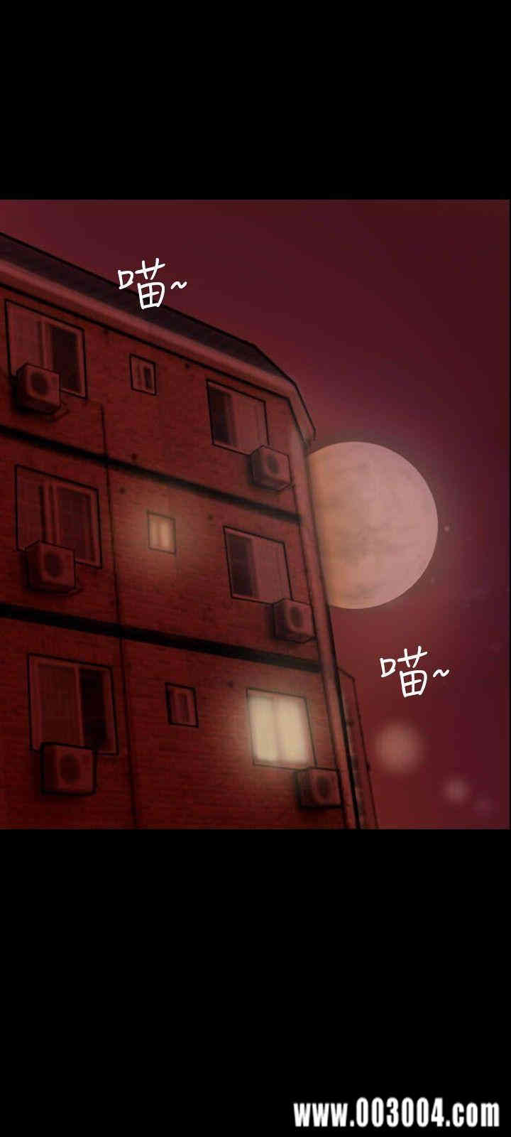 第3张