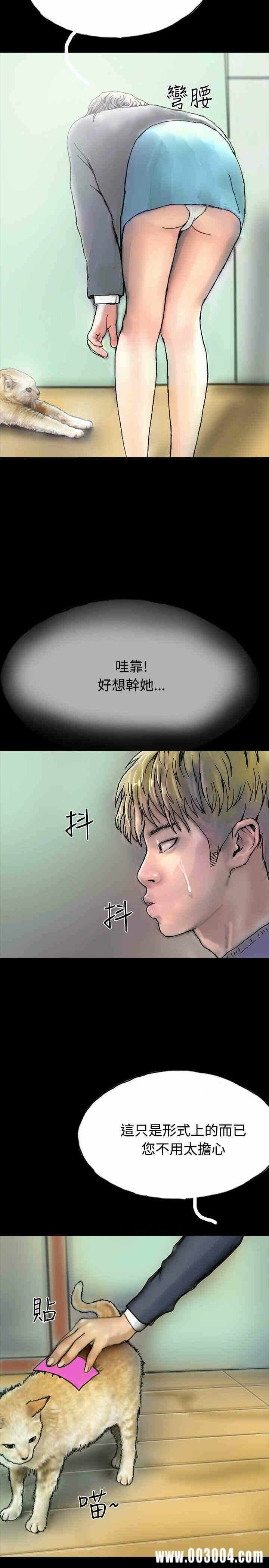第5张
