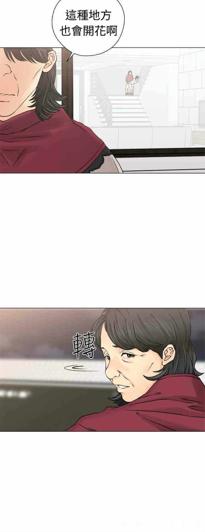 第22张
